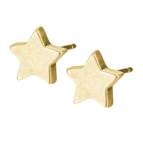 Sence Ohrringe Essentials Star worn gold