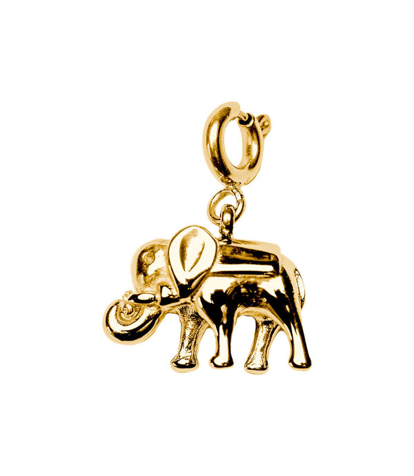 Glücksbringer - Charm Anhänger Elefant gold
